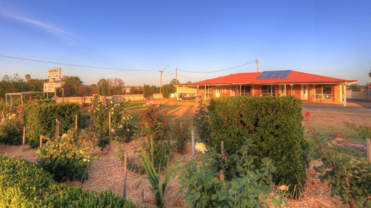 Golfers Inn Tenterfield Exterior foto